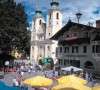 Ski Chalets