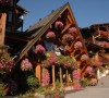 Ski Chalets