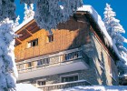 Chalet Les Landelieres, Ski Chalet Chalet Les Landelieres, Ski Chalet