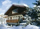  L'Hermine, Les Gets Ski Chalet