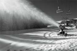 Promising Snowfall