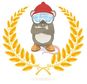 SnowVole.com Awards